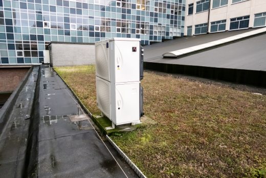 Flat Roofing System - Green Roofing